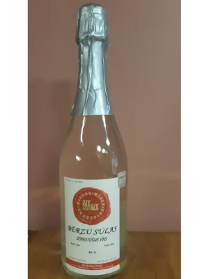 Bērzu sulas dzirkstošais vīns
